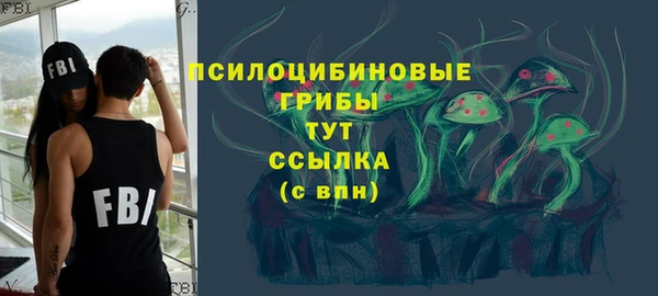 дживик Каменногорск