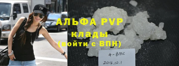 дживик Каменногорск