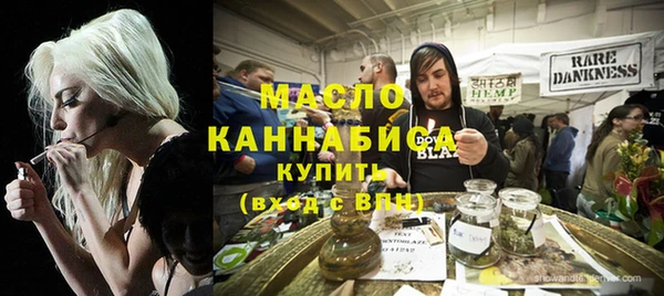 дживик Каменногорск