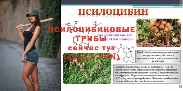 дживик Каменногорск